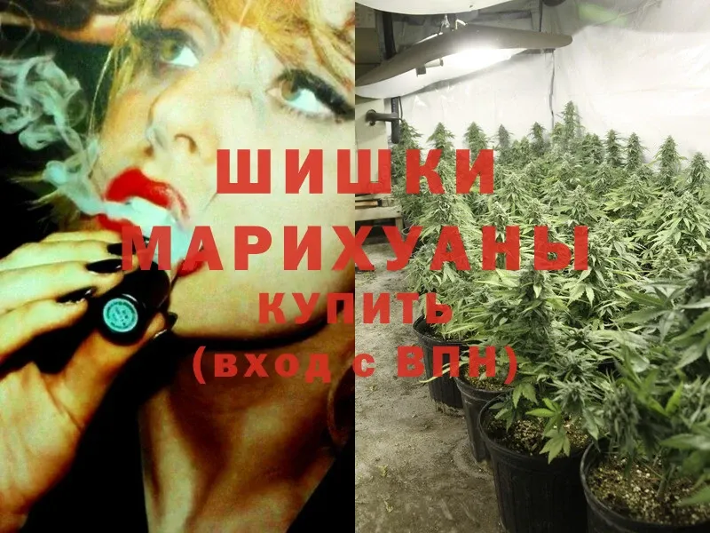 Марихуана SATIVA & INDICA  где можно купить   Истра 